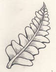 Image:Artifact1p2-img1.jpg
