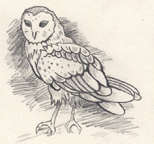 Image:Artifact1p2-img5.jpg