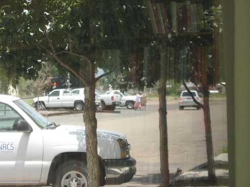 Image:Image5.jpg