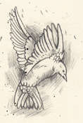 Image:Artifact1p2-img6.jpg